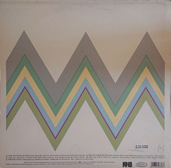 Mondo Grosso : Now You Know Better (12")