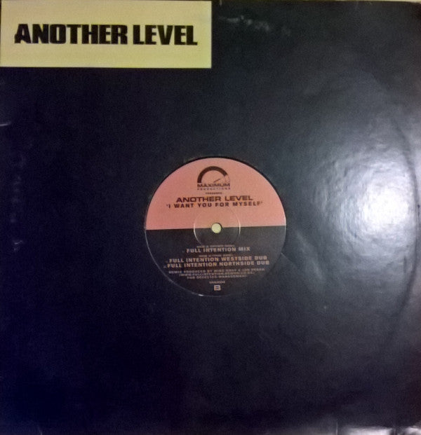 Another Level : I Want You For Myself (12")