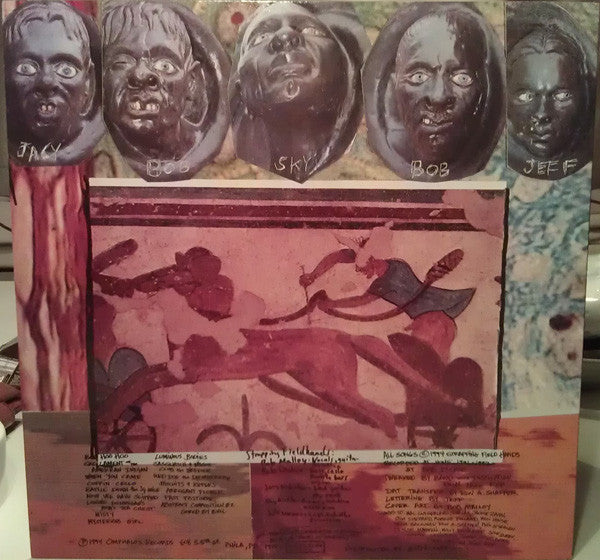 Strapping Fieldhands : Discus (LP)