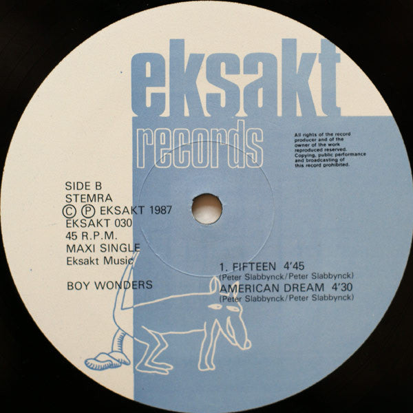 The Boy Wonders : Too Young To Have One (12", Maxi)