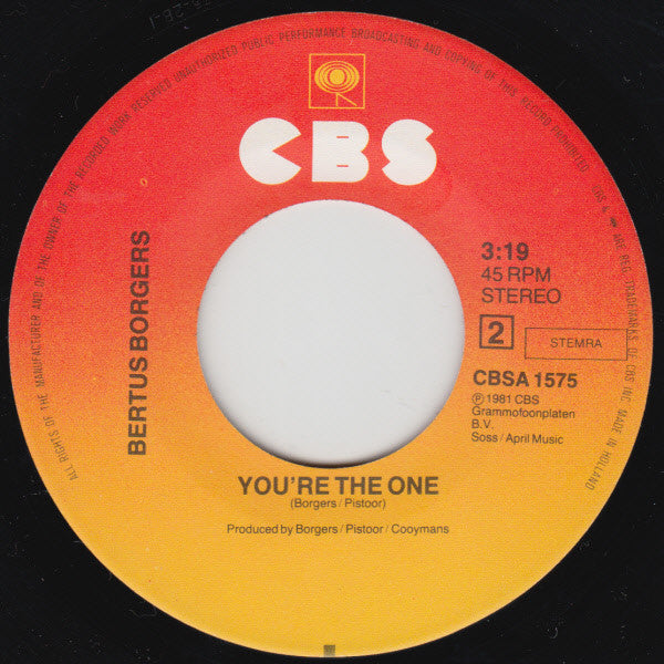 Bertus Borgers : Nightcat (7", Single)