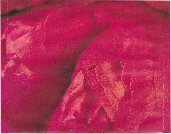 Céline Dion & Anne Geddes : Miracle (CD, Album)