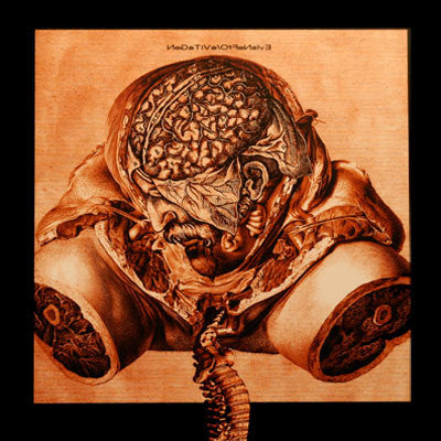 Richard Ramirez & MSBR : Negative / Offensive (LP, Ltd)