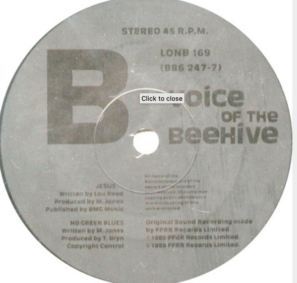 Voice Of The Beehive : I Walk The Earth (7", Single, Ltd, Tra + Box)