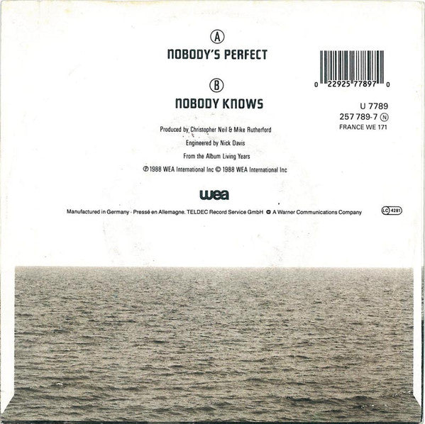 Mike + The Mechanics* : Nobody's Perfect (7", Single)