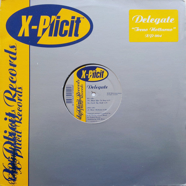 Delegate : Treno Notturno (12")