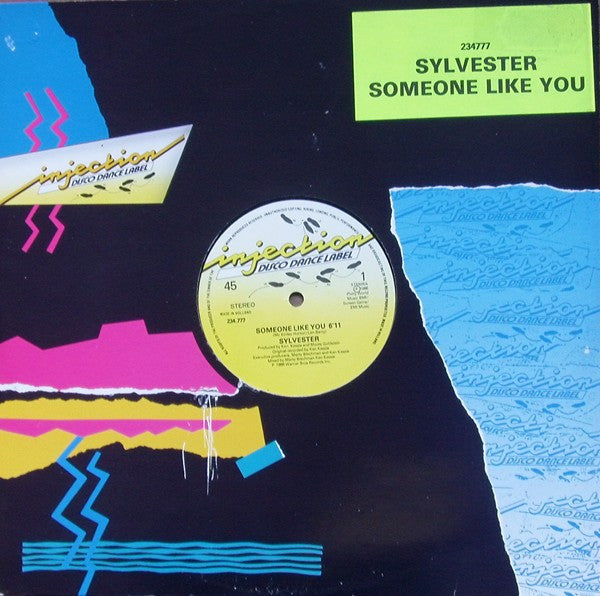 Sylvester : Someone Like You (12")
