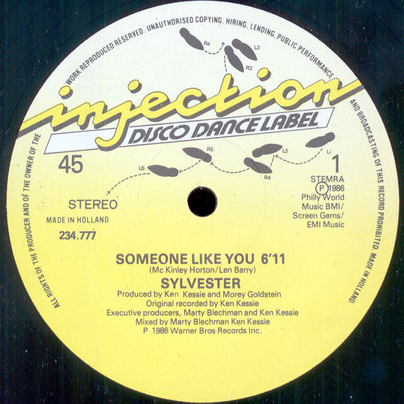 Sylvester : Someone Like You (12")
