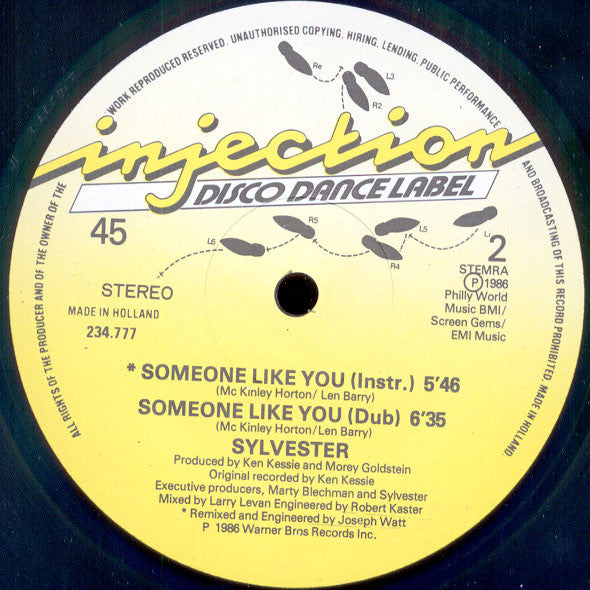 Sylvester : Someone Like You (12")