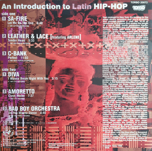Various : An Introduction To Latin Hip-Hop (LP, Comp)