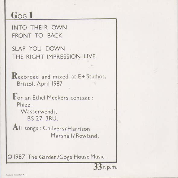 The Garden (3) : Negative Allegory E.P. (7", EP)