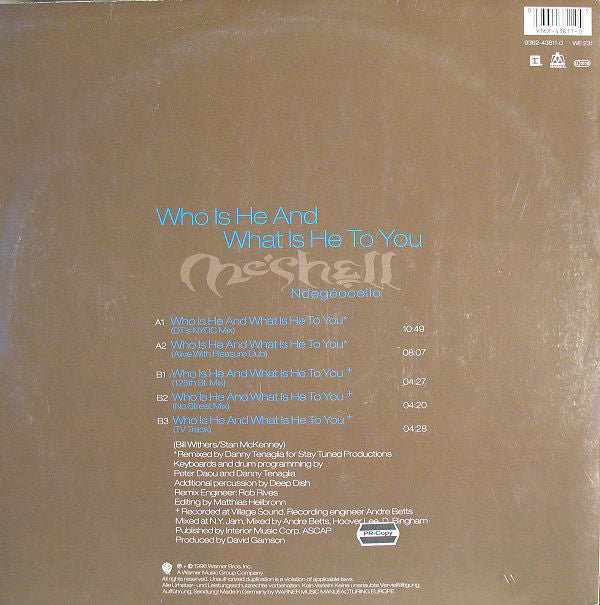 Me'Shell NdegéOcello : Who Is He And What Is He To You (12")