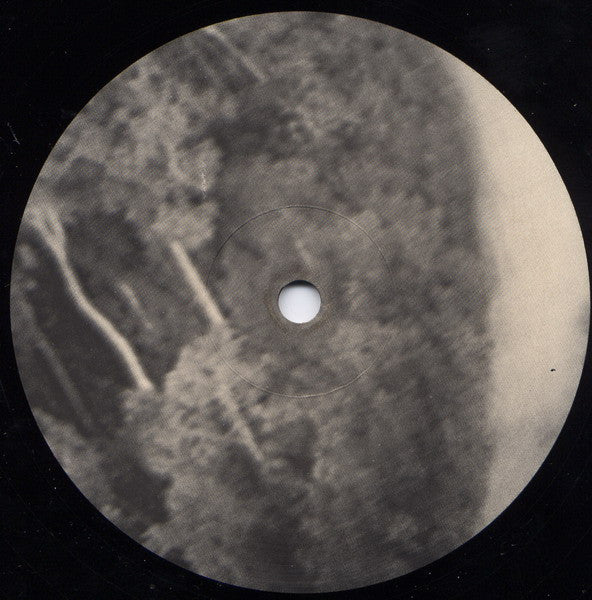 C.C.C.P. : Don't Kill The Rain Forest (12", Maxi)