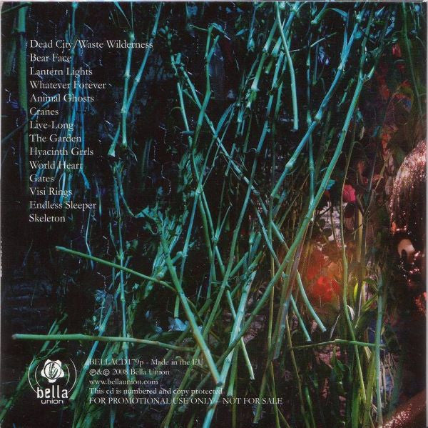 Abe Vigoda : Skeleton (CD, Album, Promo)