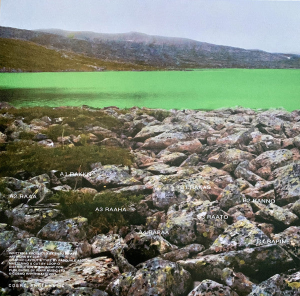 Vladislav Delay : Rakka II (LP, Album)