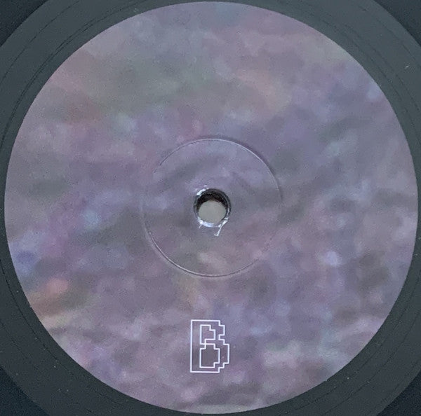 Vladislav Delay : Rakka II (LP, Album)