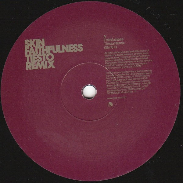 Skin : Faithfulness (Tiesto Remix) (12", Promo)