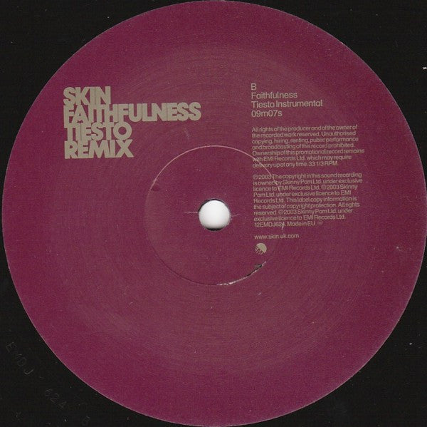 Skin : Faithfulness (Tiesto Remix) (12", Promo)