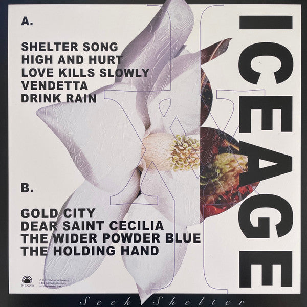 Iceage : Seek Shelter (LP, Album, Ltd, Ora)