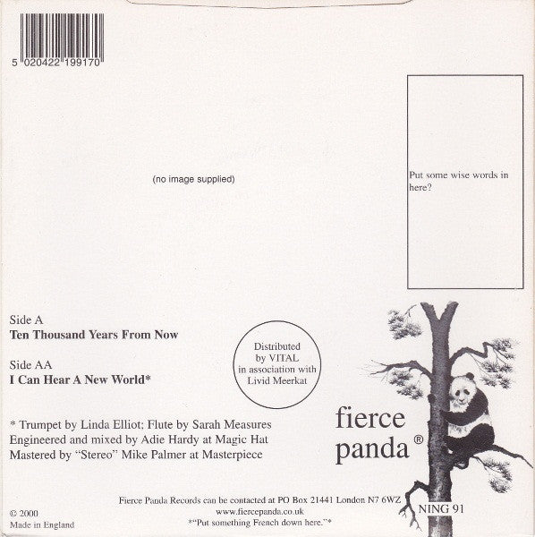 Tim Allon : Ten Thousand Years From Now (7", Single)