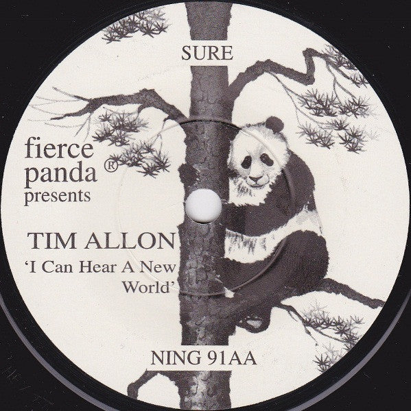 Tim Allon : Ten Thousand Years From Now (7", Single)