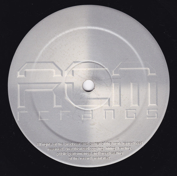 DJ Marlyn vs. Reverend Bee : I Have Seen The Future (12")