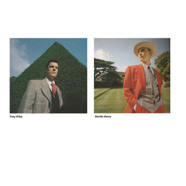 The Blow Monkeys : This Is Your House (12", Ltd, Gat)