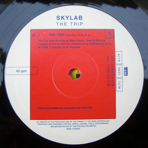 Skylab : The Trip (Remixes) (10")