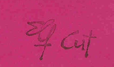 The Syncopated Elevators Legacy : The Siamese Level (CD, Maxi)