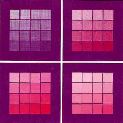 The Syncopated Elevators Legacy : The Siamese Level (CD, Maxi)