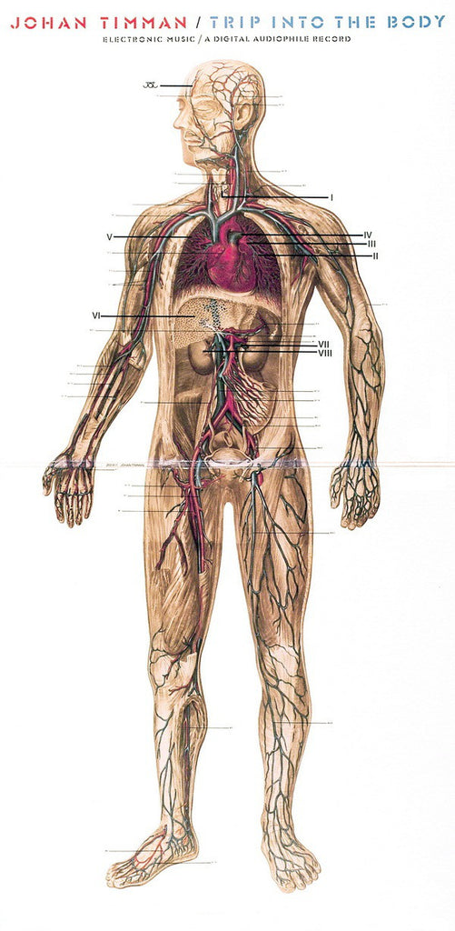 Johan Timman : Trip Into The Body (LP, Album, Gat)