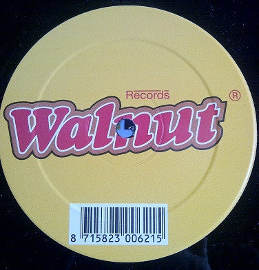 Sample Dudes : Pump This Party (12")