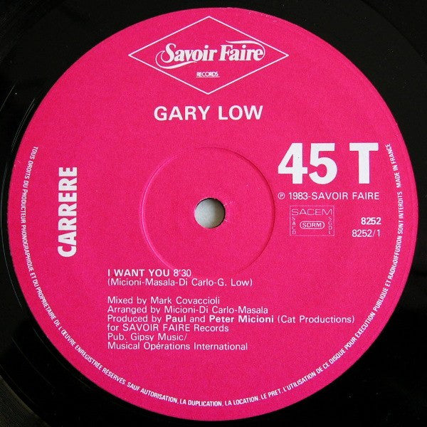Gary Low : I Want You (12", Maxi)