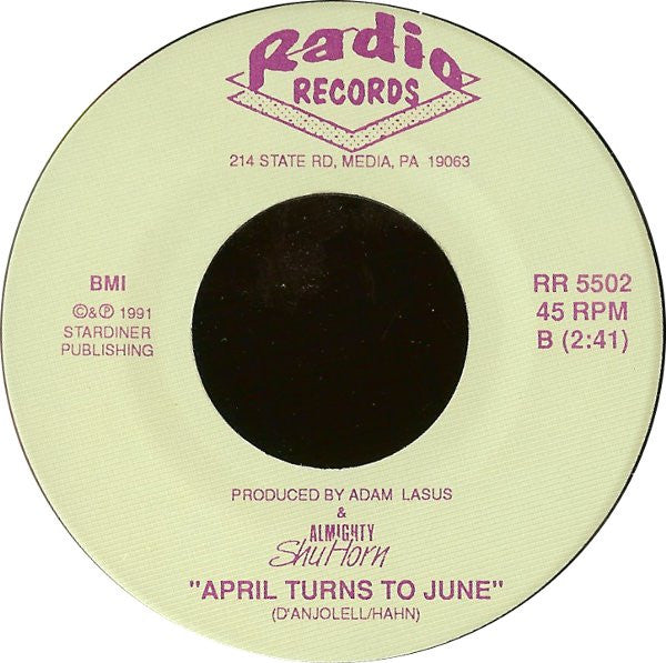 Almighty ShuHorn : No, No, No (7")