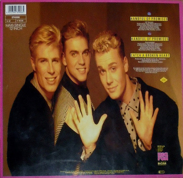 Big Fun : Handful Of Promises (12", Maxi)