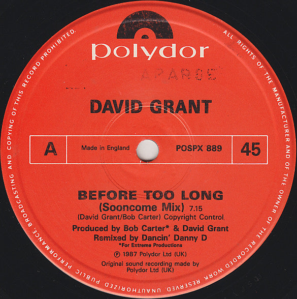 David Grant : Before Too Long (Sooncome Mix) (12")