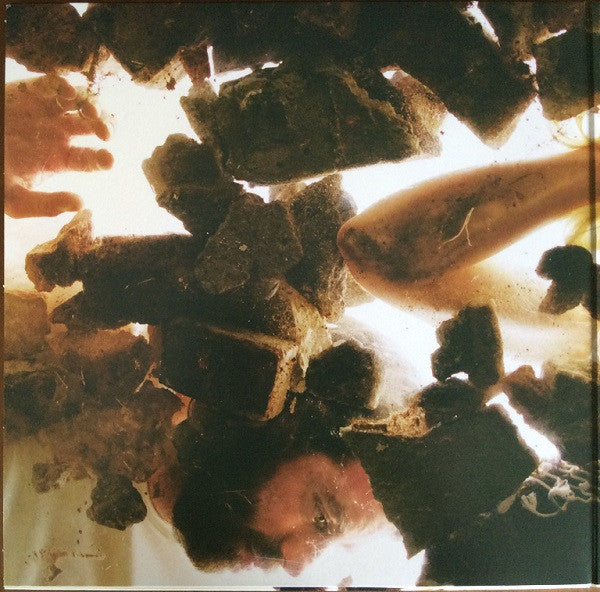 LUMP (12) : Animal (LP, Album, Dlx)