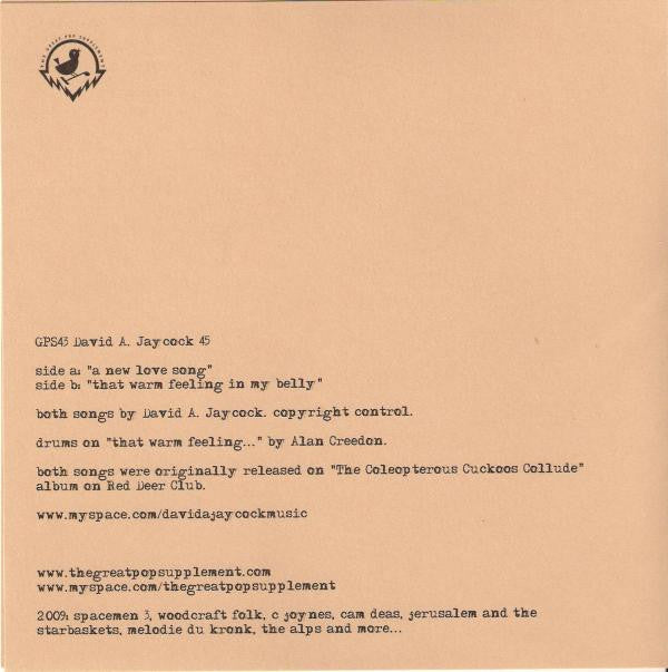 David Jaycock : A New Love Song (7", Single)