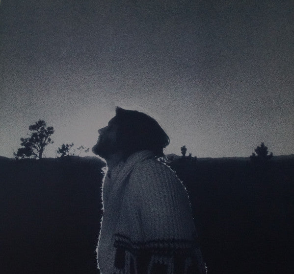 Dan Fogelberg : Nether Lands (LP, Album, Ltd, Num, RE, Cle)