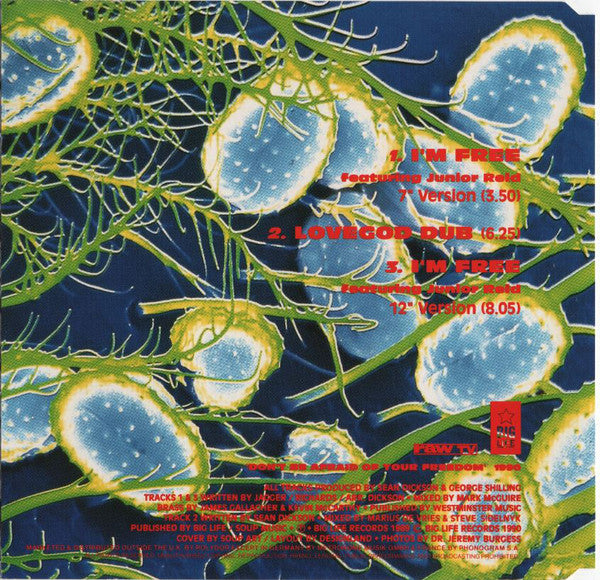 The Soup Dragons : I'm Free (CD, Single)