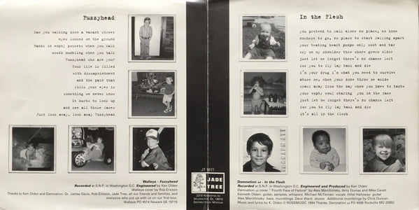 Damnation A.D. / Walleye : In The Flesh / Fuzzyhead (7")