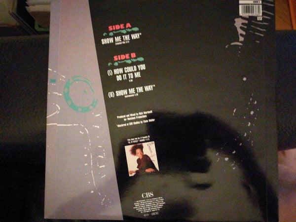 Regina Belle : Show Me The Way (12")