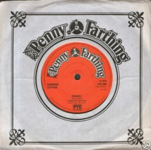 Rainbow Cottage : Seagull (7", Single, Sol)