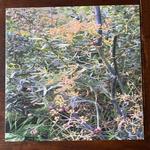 Tirzah : Colourgrade (LP, Album, Ltd, Yel)