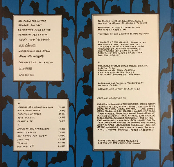 Parquet Courts : Sympathy For Life (LP, Album, S/Edition)