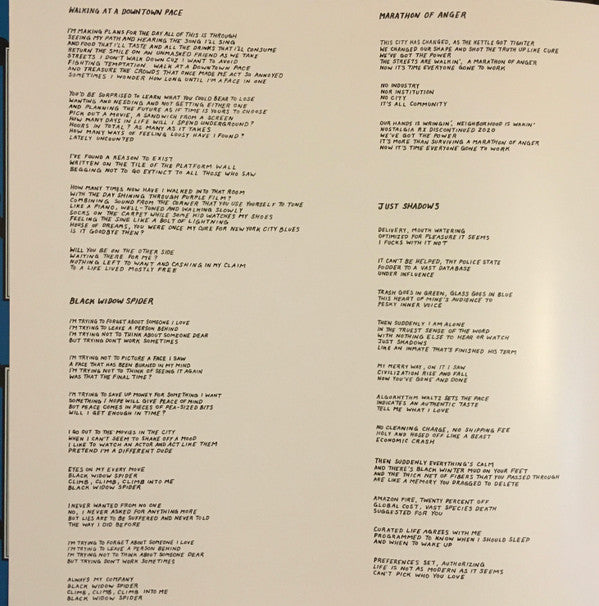 Parquet Courts : Sympathy For Life (LP, Album, S/Edition)