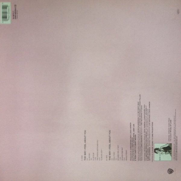 Karyn White : The Way I Feel About You (12")