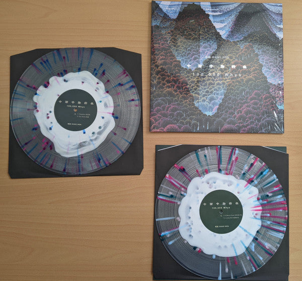 Wang Wen : 十万个为什么 100,000 Whys (2xLP, Album, Ltd, Cle)