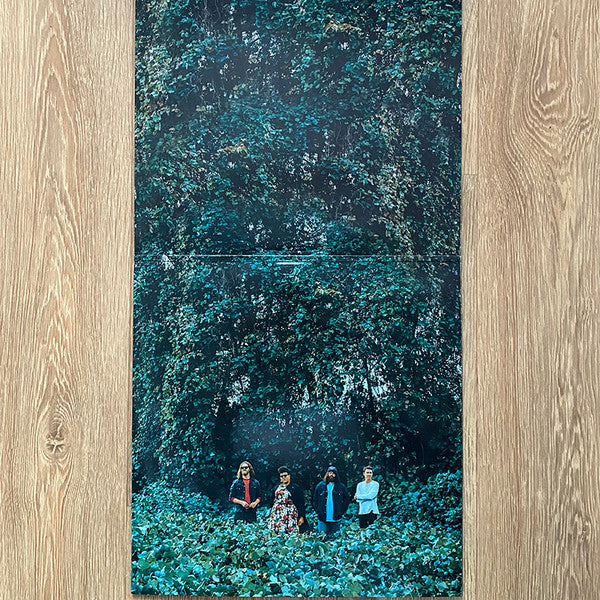 Alabama Shakes : Sound & Color (LP, Red + LP, Mag + Album, Dlx, Ltd, RE)