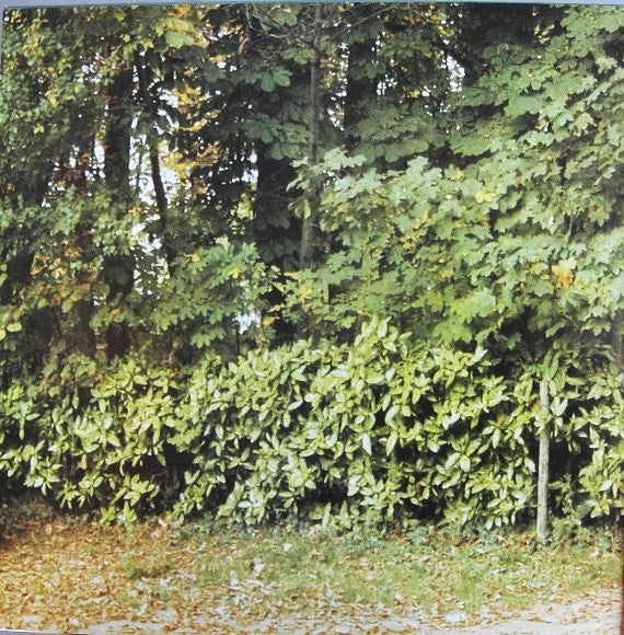 Nicole Rieu : Si Tu M'Appelles... (LP, Album)